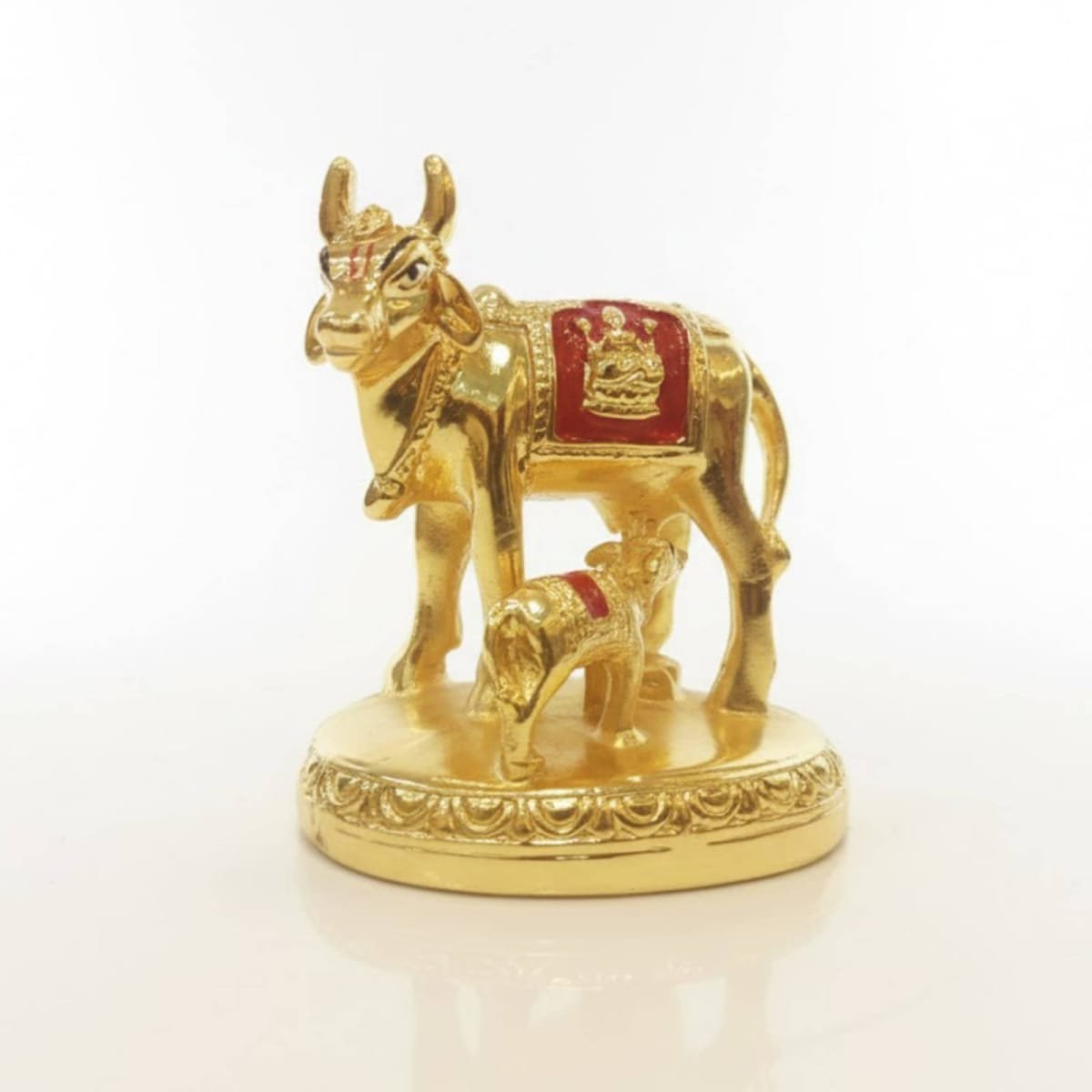 WhatsApp Image 2026-02-01 at 2.37.38 PM.jpeg