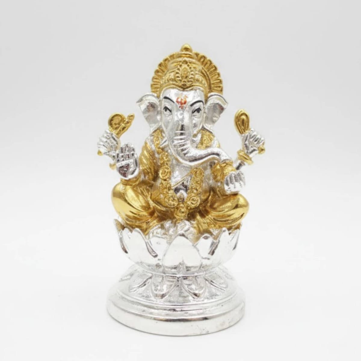 WhatsApp Image 2026-02-01 at 12.37.31 PM.jpeg