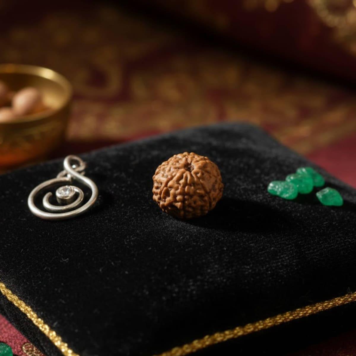 WhatsApp Image 2026-02-01 at 5.42.25 PM.jpeg