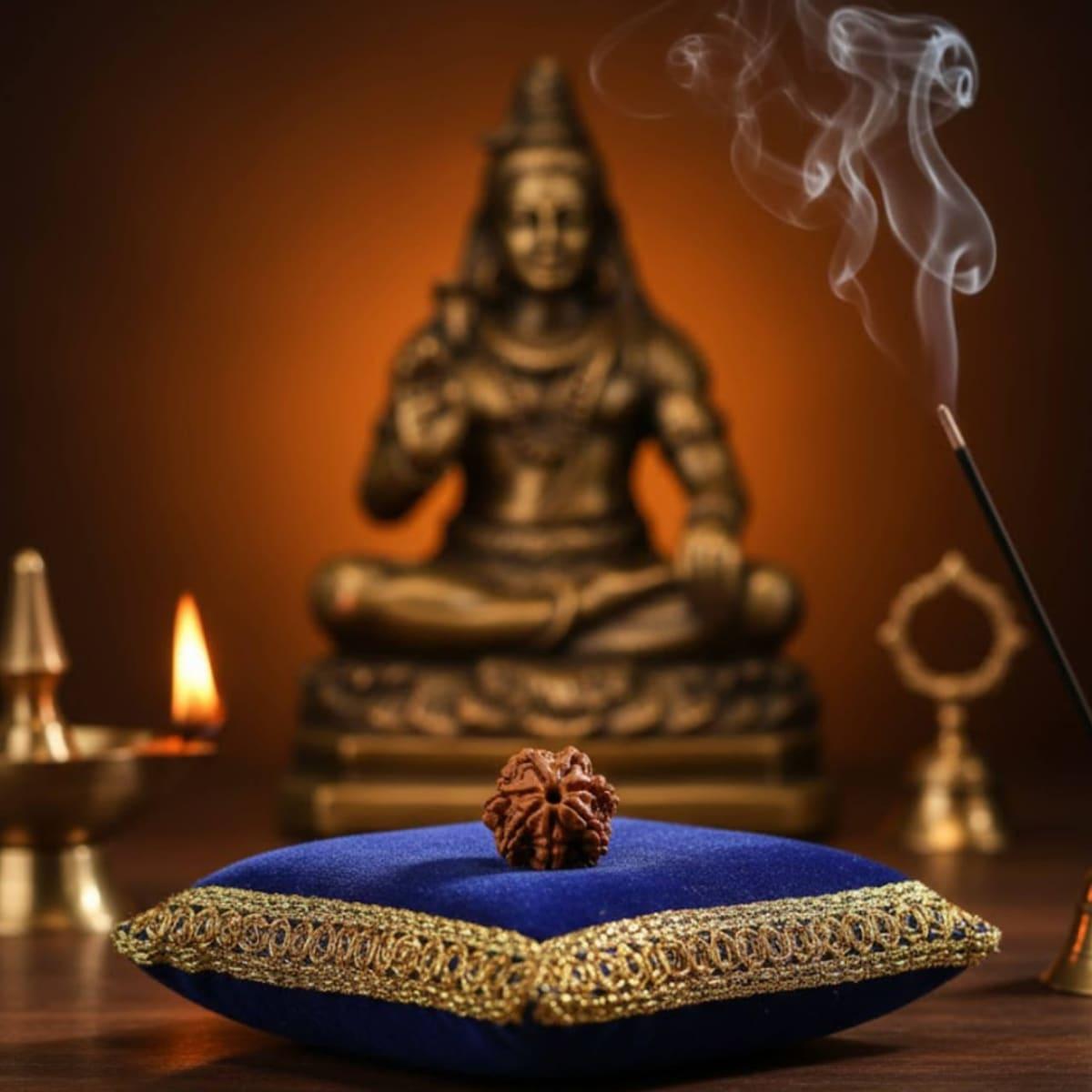 WhatsApp Image 2026-02-01 at 6.24.31 PM (1).jpeg